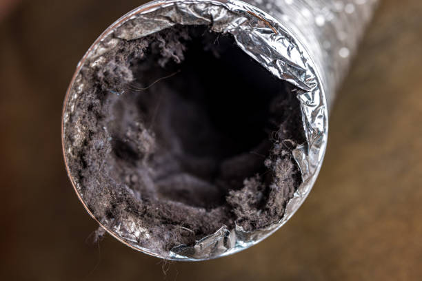 Best Emergency Air Duct Cleaning  in Reed Creek, GA