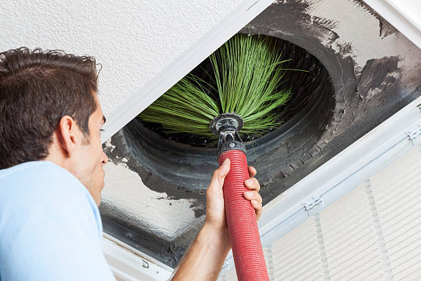 Best Best Air Duct Cleaning Company  in Reed Creek, GA